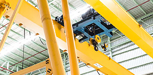 Grain Field Grain Field